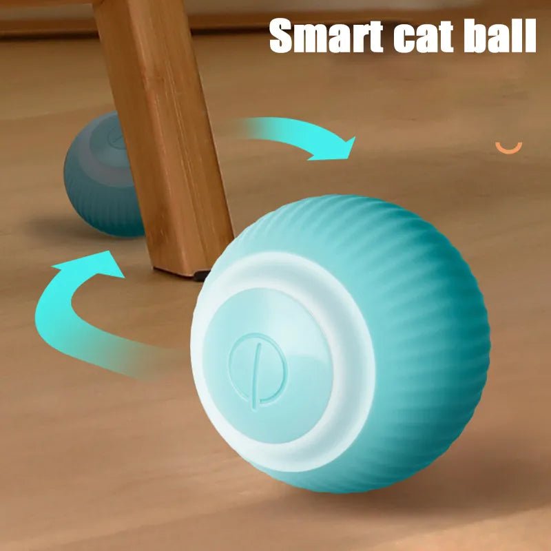 Balle interactive pour chat - Shop de Tahiti