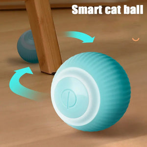 Balle interactive pour chat - Shop de Tahiti